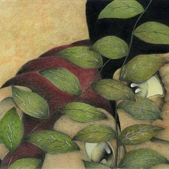 Illustrazione editoriale libro per bambini di Giulia Marsigliani Due scimpanzè dietro un ramo di foglie.